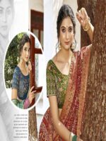 Blood Red Soft Silk Jequard Patola saree