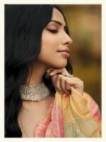 Pastel Pink Brasso Fancy Printed saree
